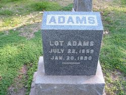 Lot Adams 