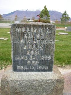 William Curtis Angus 