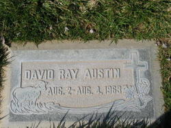 David Ray Austin 