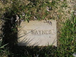 John Haynes 