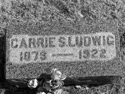 Carrie S. Ludwig 