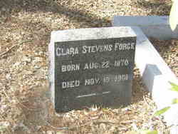 Clara <I>Stevens</I> Force 