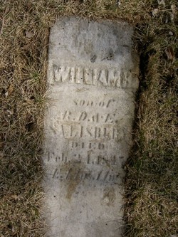 William H Salisbury 