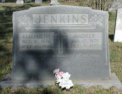 Elizabeth “Lizzie” <I>Davis</I> Jenkins 