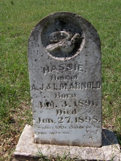 Hassie Arnold 