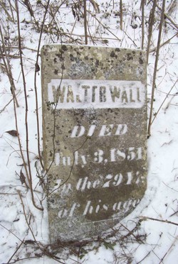 Walter Wall 