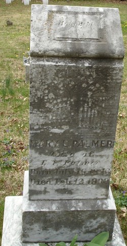 Mary E. <I>Ferguson</I> Palmer 