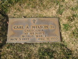 Carl Alfred Nelson Sr.
