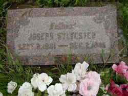 Joseph Sylvester 