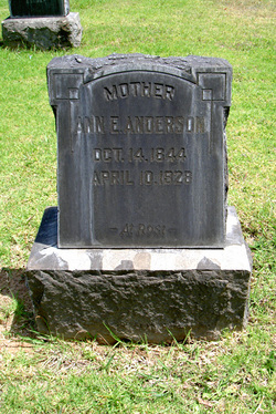 Ann E. Anderson 