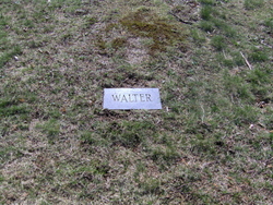 Walter E. Bertsch 