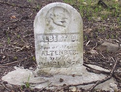 Albert D. Altenber 