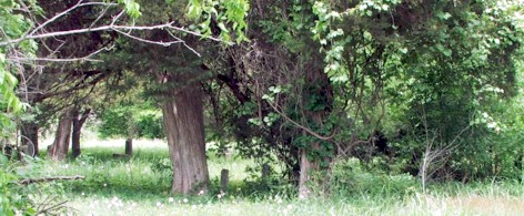 Bee Creek Cemetery