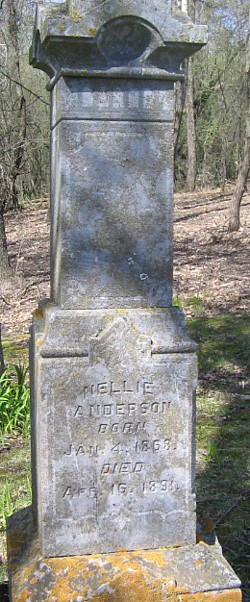 Nellie Anderson 
