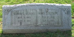 Mary Jane <I>Horn</I> Blevins 