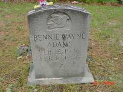 Bennie Wayne Adams 