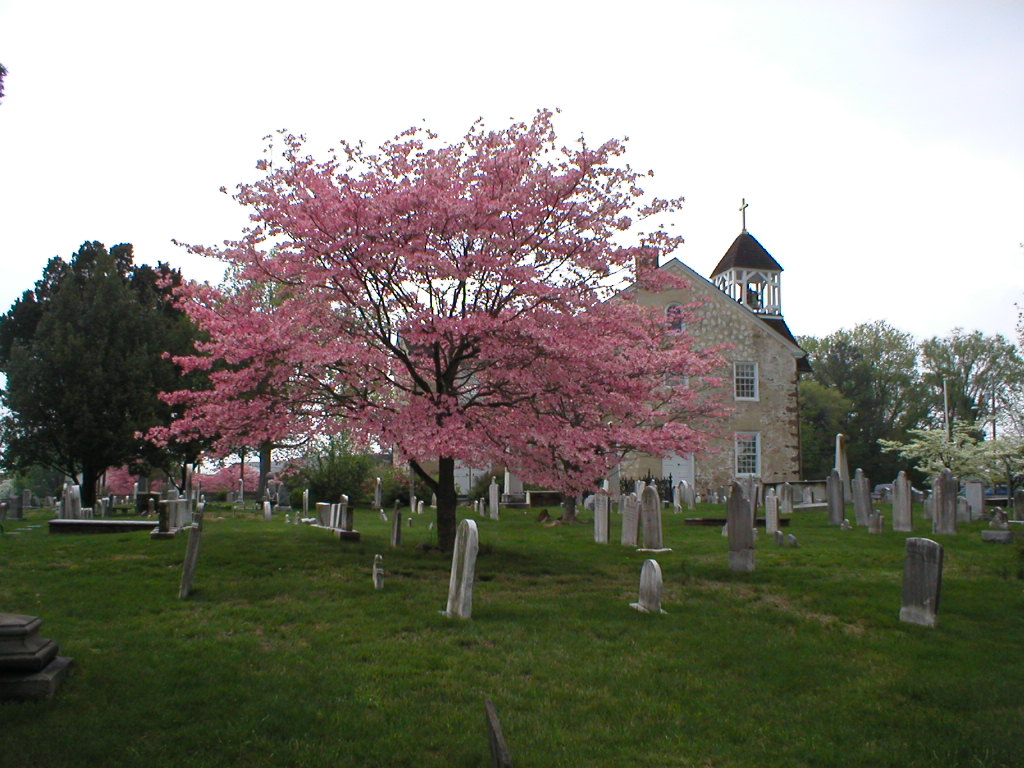 Saint James Mill Creek Episcopal Church Graveyard