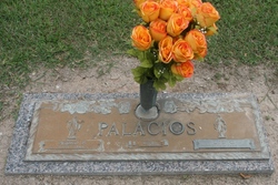 Pedro P. Palacios 
