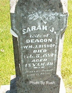 Sarah Jane <I>Wiley</I> Bishop 