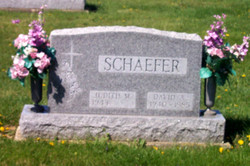 David A Schaefer 