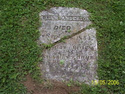 McLuer Anderson 