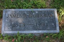 James Samuel Alexander Barekman 
