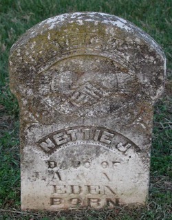 Nettie J Eden 