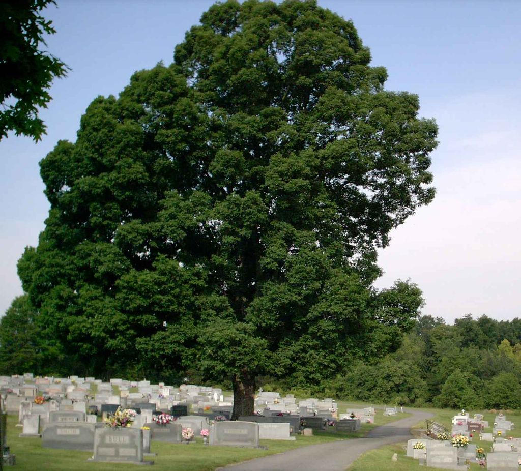 Shady Grove Wesleyan Church Cemetery