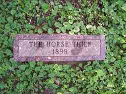 The Horse Thief 