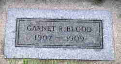 Garnet Robins Blood 