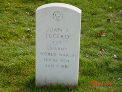 Juan A Lucero 