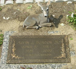 Alvin Joseph Burgos Jr.
