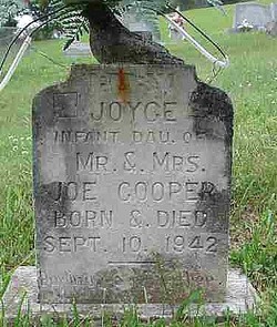 Joyce Cooper 