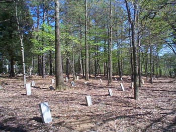 Mecklenburg County Home Cemetery