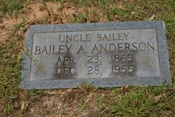 Bailey A Anderson 