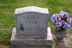 David Frank Falk 