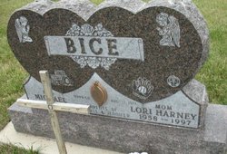 Lori Ann <I>Harney</I> Bice 