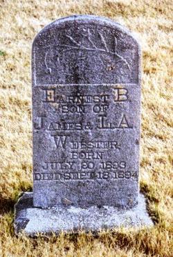 Earnest B. Webster 