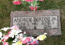 Andrew Bertini Jr.