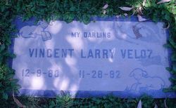 Vincent Larry Veloz 