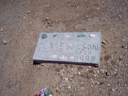Clare Wilson 