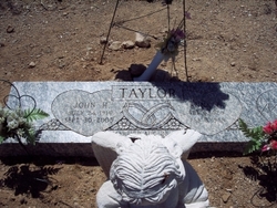 Anna E. Taylor 