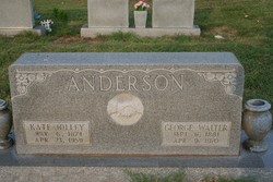 George Walter Anderson 