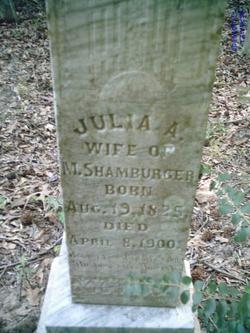 Julia Ann <I>Shockley</I> Shamburger 