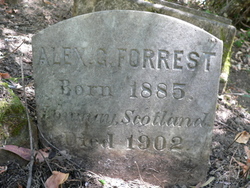 Alex Gray Forrest 