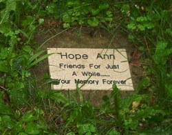 Hope Ann 