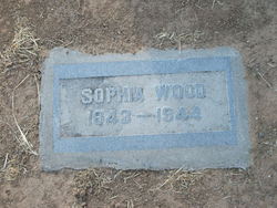 Sophia Catlin <I>Wood</I> Plimpton 