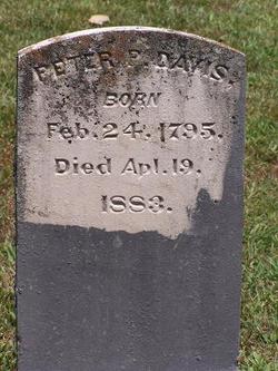 Peter Park Davis 
