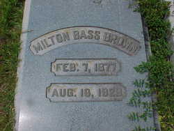 Milton Bass Brown 