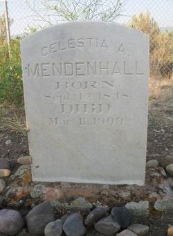 Celestia Ann <I>Mecham</I> Mendenhall 